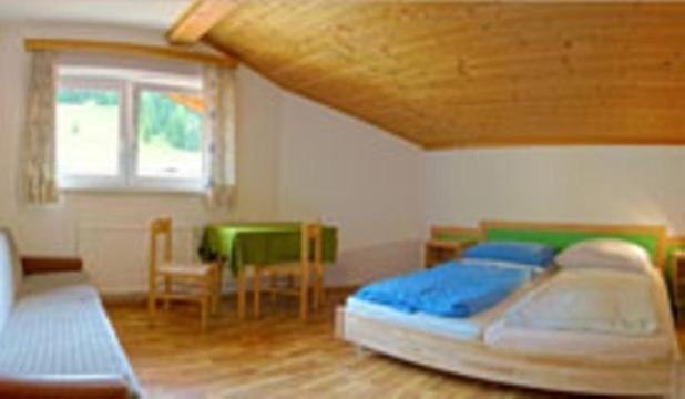 Jugendgastehaus Steiner Ostello Eben Im Pongau Esterno foto